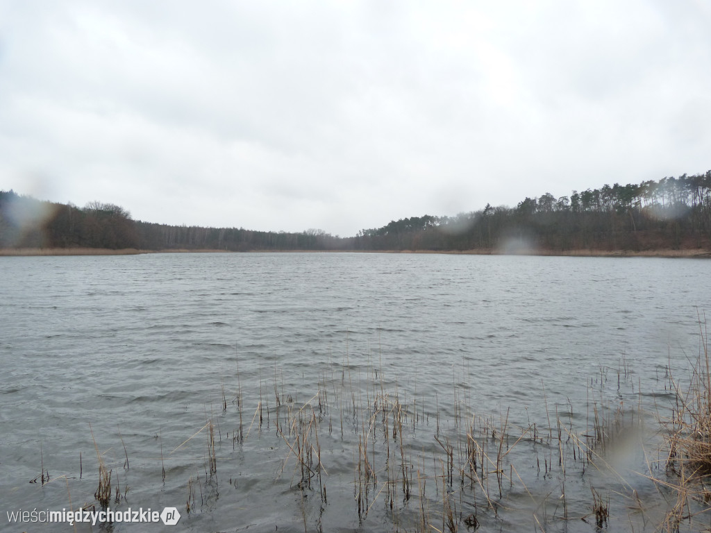 Jeziora powiatu międzychodzkiego