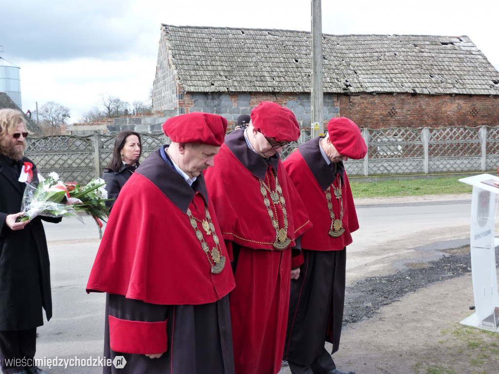 Odsłonięcie pomnika w Kolnie