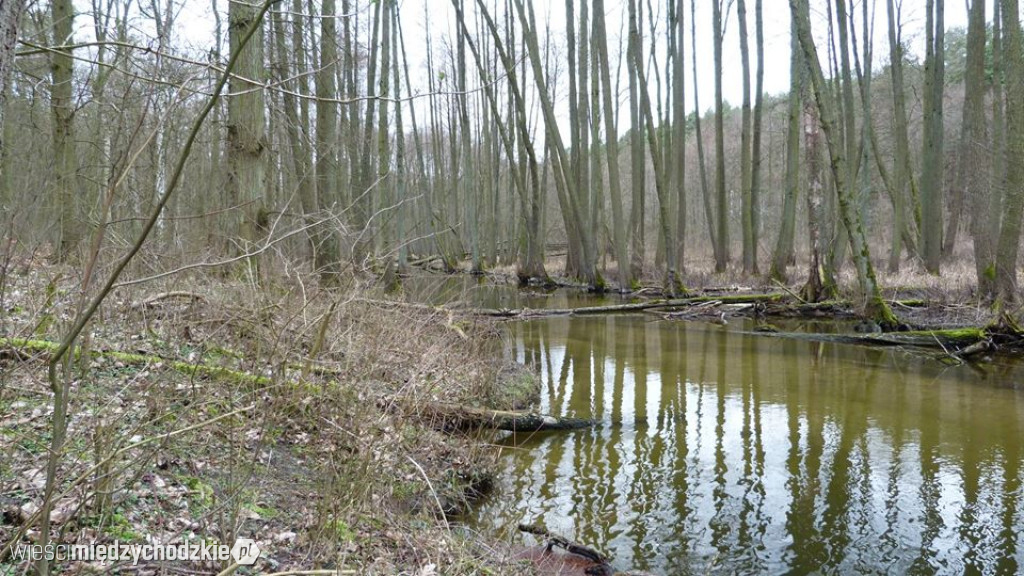 Pojezierze w obiektywie D.Wawrzyniaka