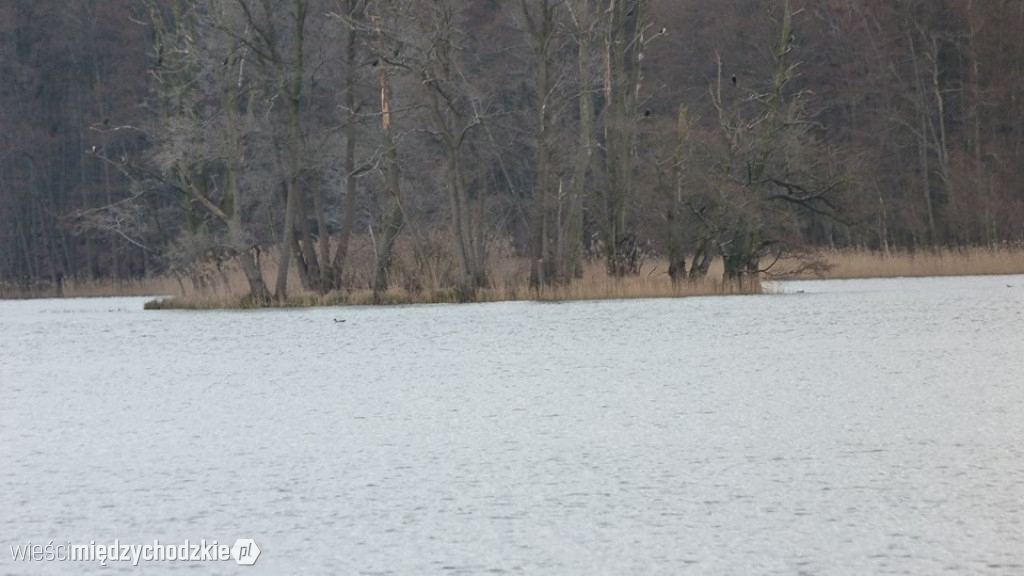 Pojezierze w obiektywie D.Wawrzyniaka