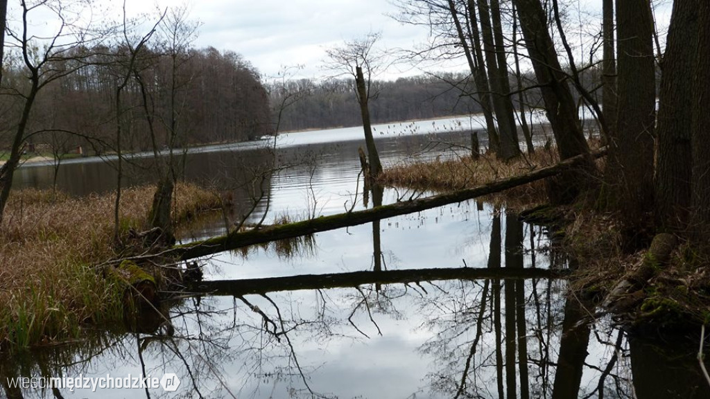 Pojezierze w obiektywie D.Wawrzyniaka