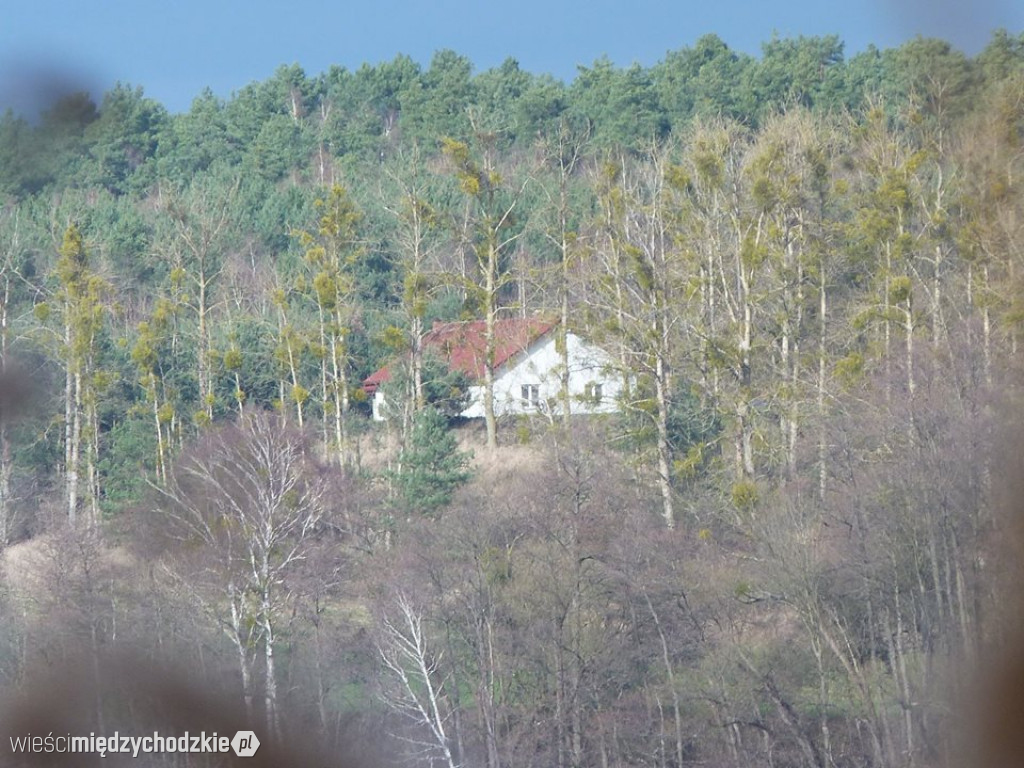 Pojezierze w obiektywie D.Wawrzyniaka
