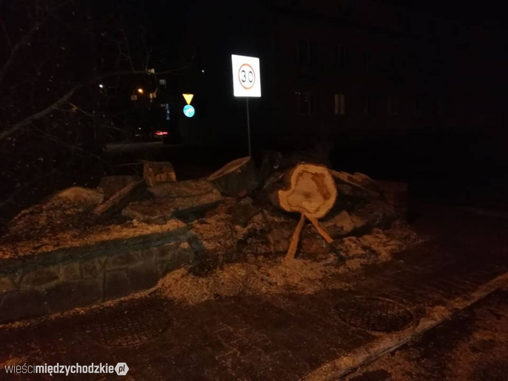 Drzewo przewrócone na ul.Daszyńskiego