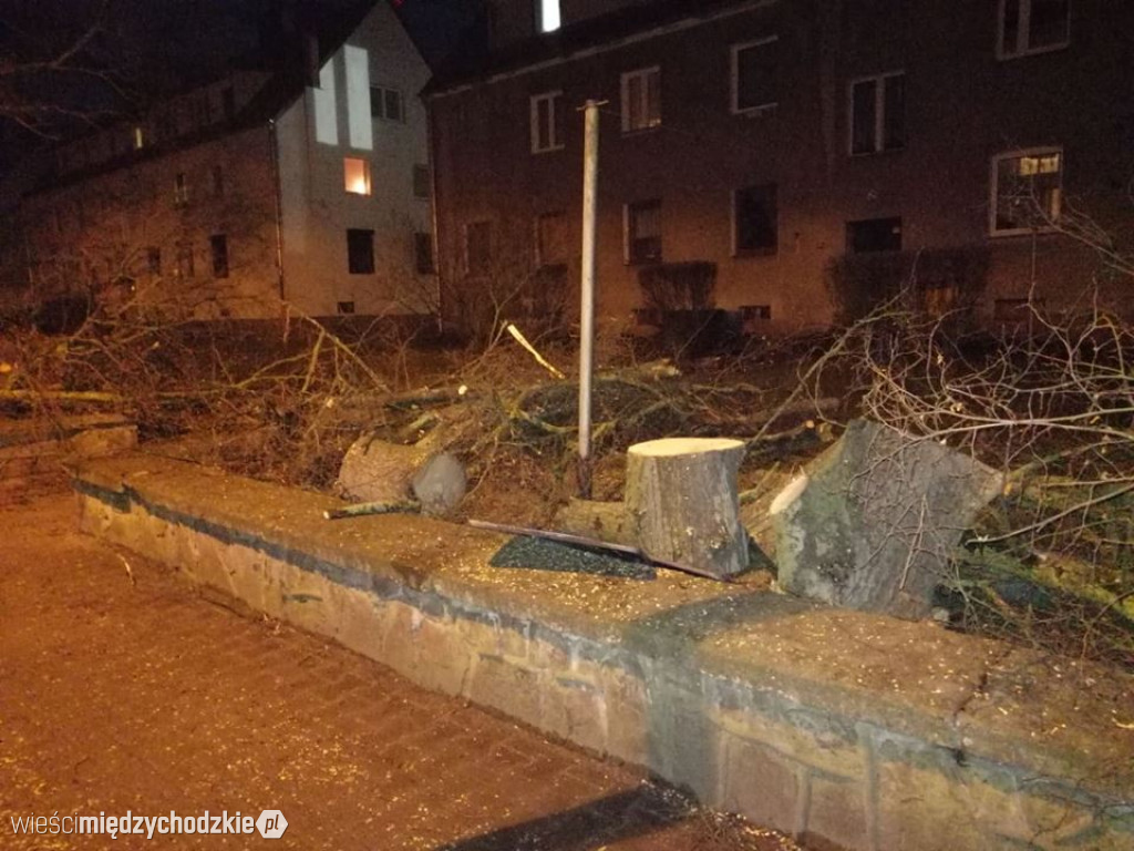Drzewo przewrócone na ul.Daszyńskiego