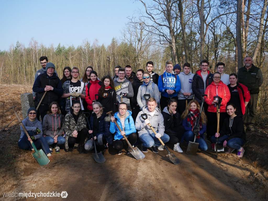 Uczniowie Liceum sadzą las