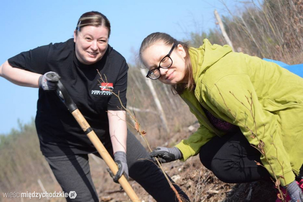 Uczniowie Liceum sadzą las