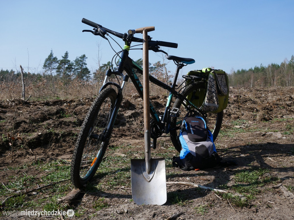 Uczniowie Liceum sadzą las
