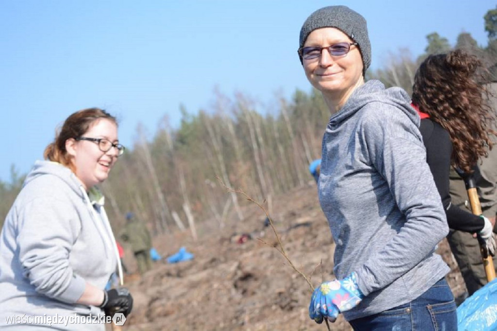 Uczniowie Liceum sadzą las