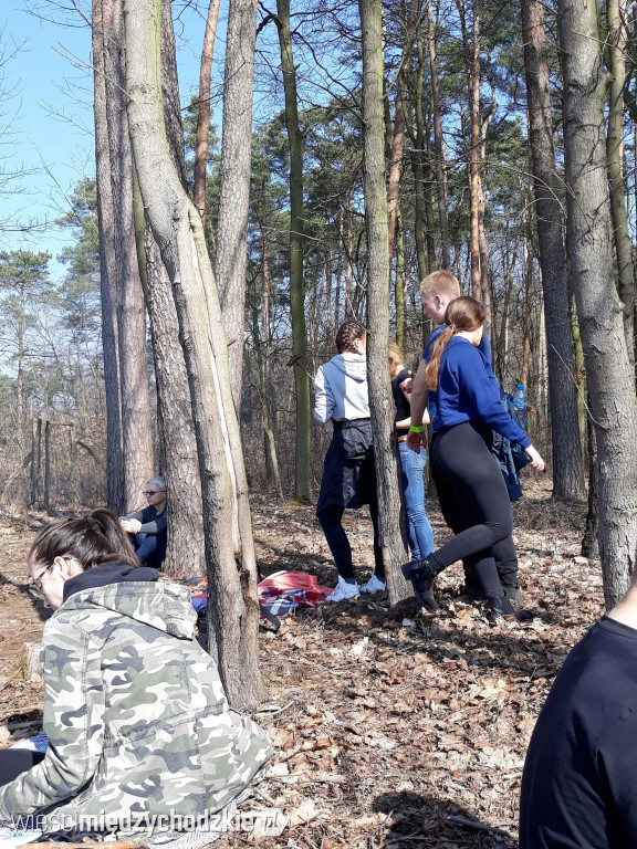 Uczniowie Liceum sadzą las