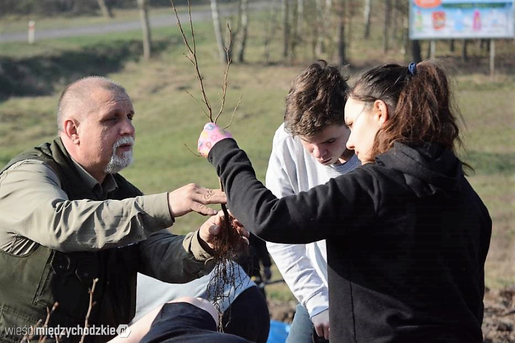 Uczniowie Liceum sadzą las