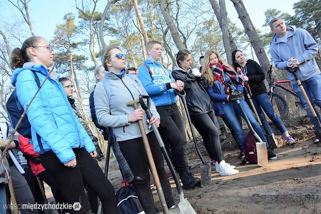 Uczniowie Liceum sadzą las