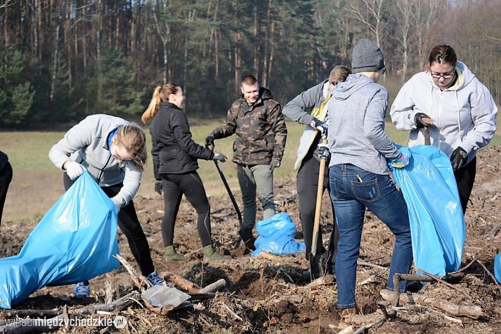 Uczniowie Liceum sadzą las