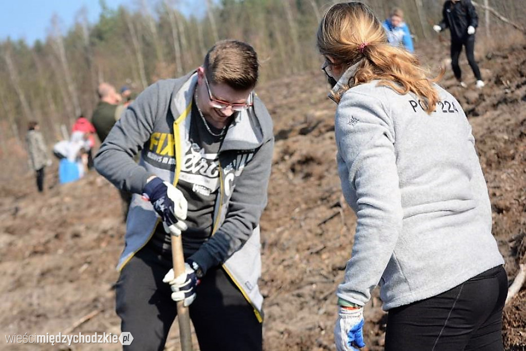 Uczniowie Liceum sadzą las