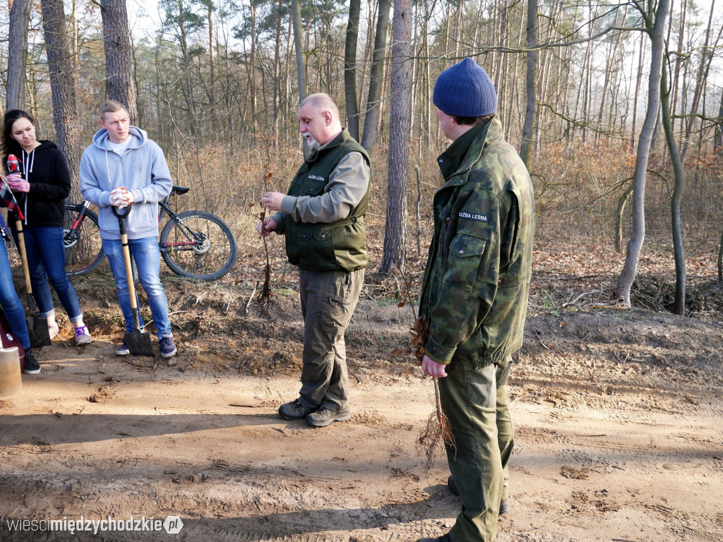 Uczniowie Liceum sadzą las