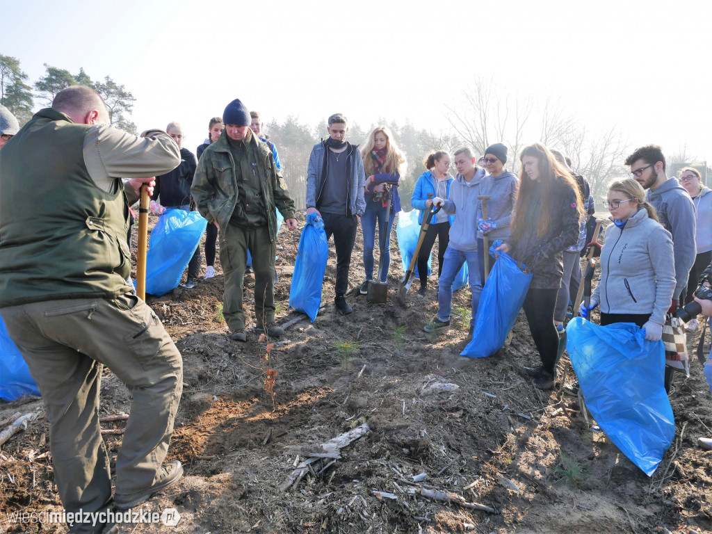 Uczniowie Liceum sadzą las