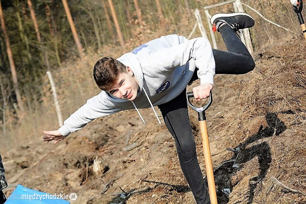 Uczniowie Liceum sadzą las