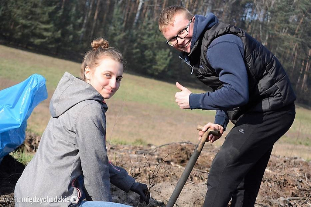 Uczniowie Liceum sadzą las