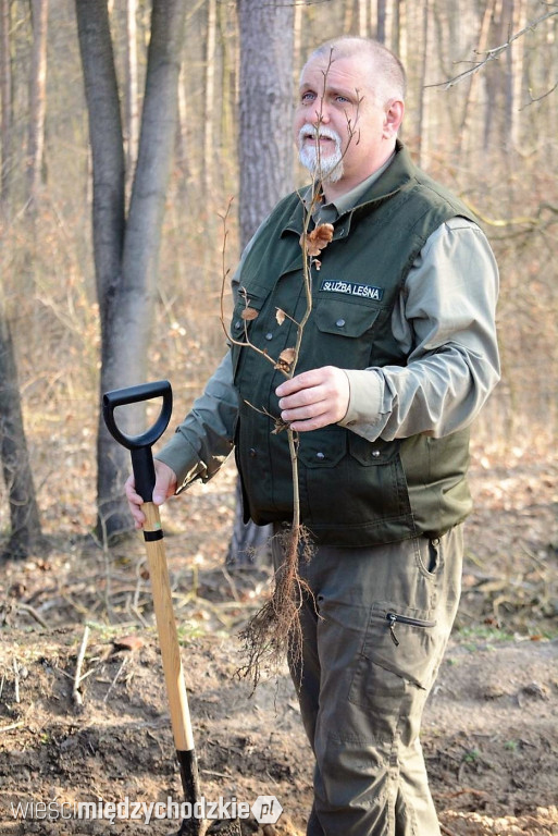 Uczniowie Liceum sadzą las