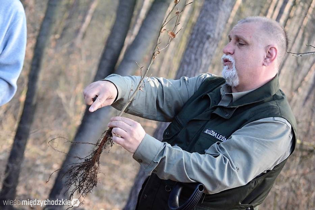 Uczniowie Liceum sadzą las