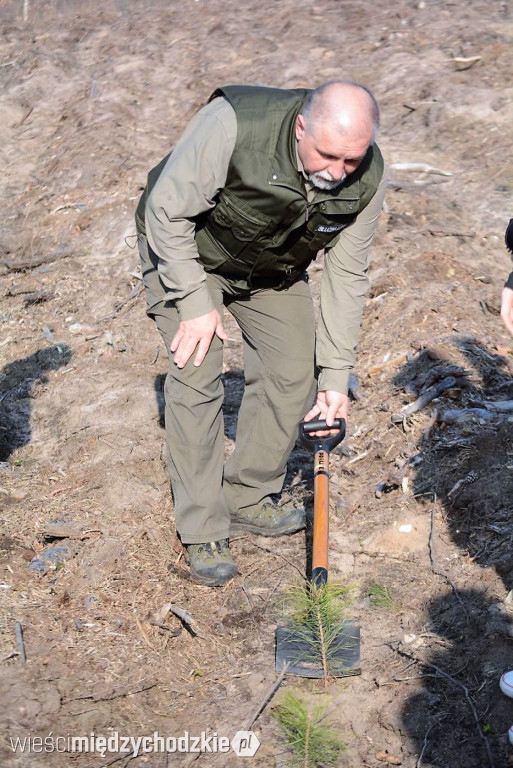 Uczniowie Liceum sadzą las