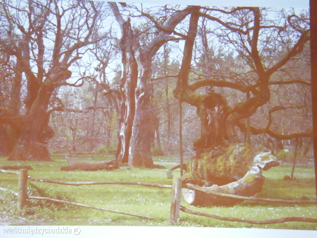 Wykład w UTW Międzychód