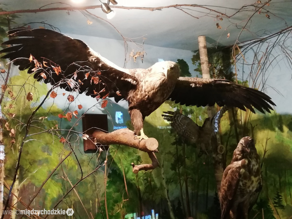 Rajd edukacyjny po Puszczy Noteckiej