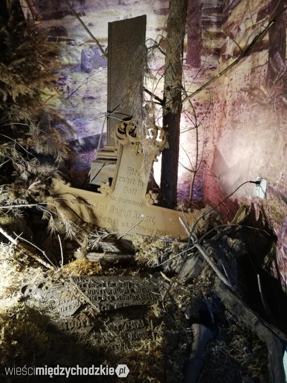 Rajd edukacyjny po Puszczy Noteckiej