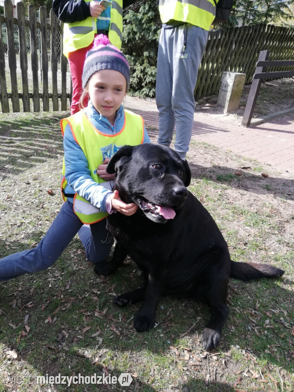 Rajd edukacyjny po Puszczy Noteckiej