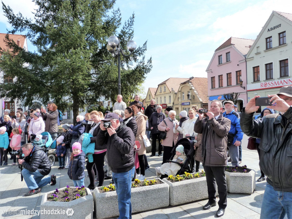 Koncert na międzychodzkim Rynku