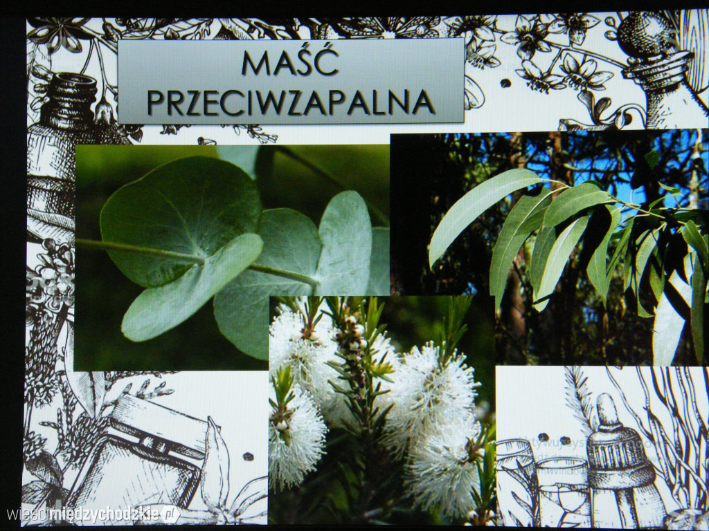 Zioła są pełne mocy i służą do pomocy