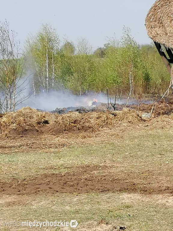 Pożar stogu w Tuczępach