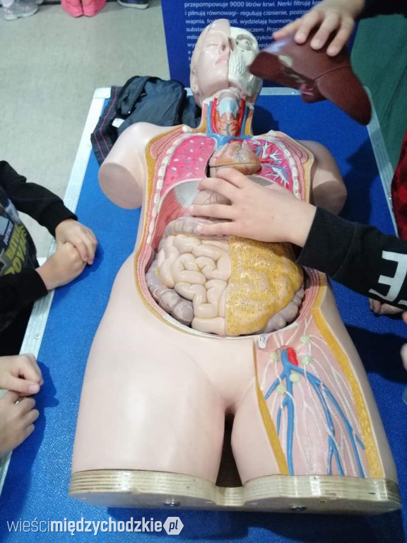 Naukobus w szkole w Kwilczu