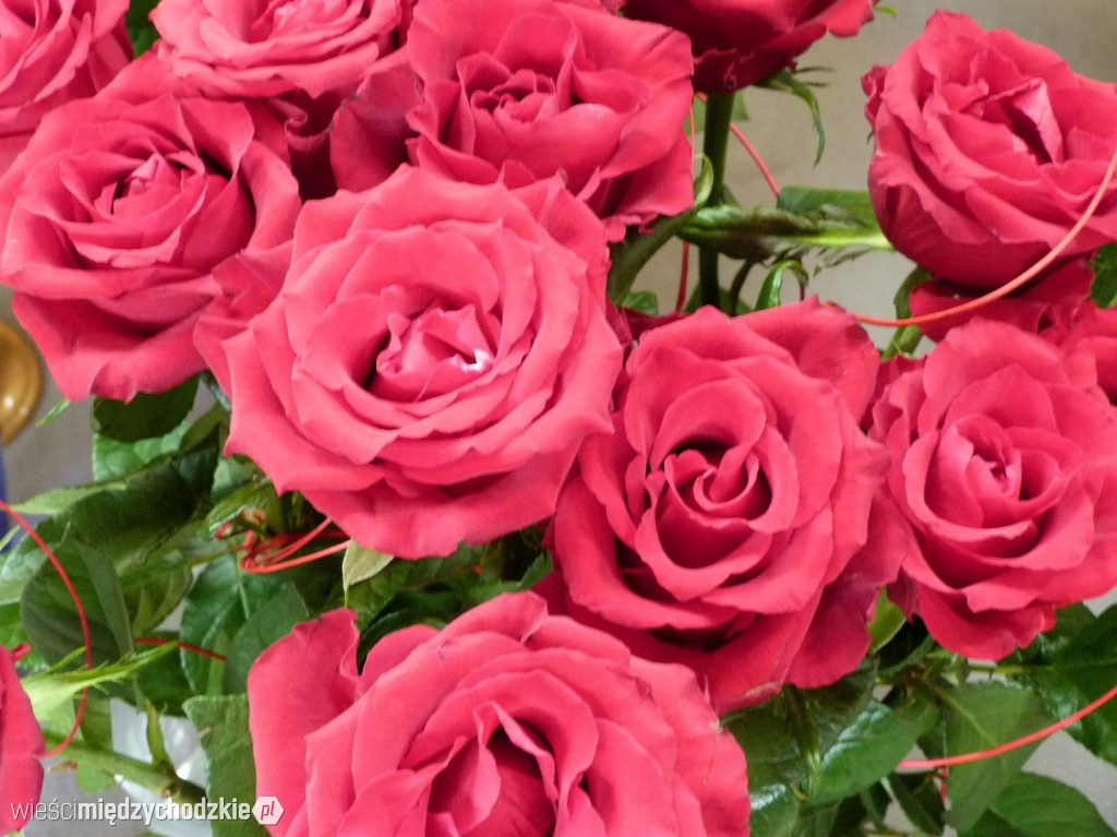 Maturzyści Zespółu Szkół w Sierakowie