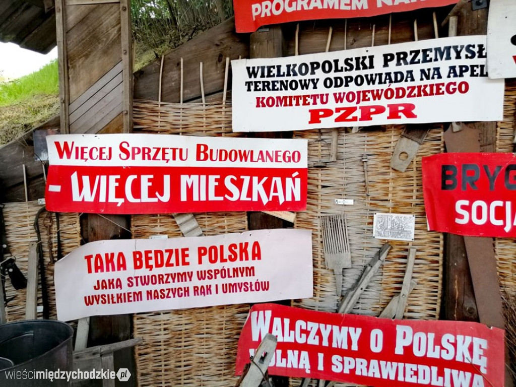 Program Partii programem Narodu