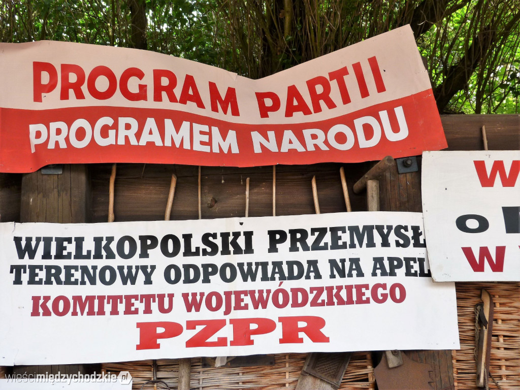 Program Partii programem Narodu