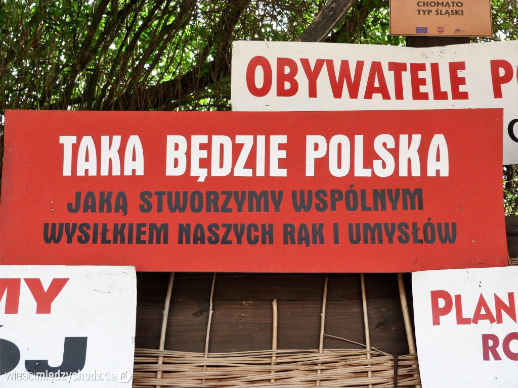 Program Partii programem Narodu