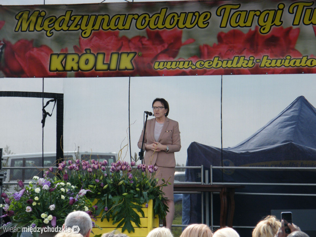 XI Międzynarodowe Targi Tulipanów