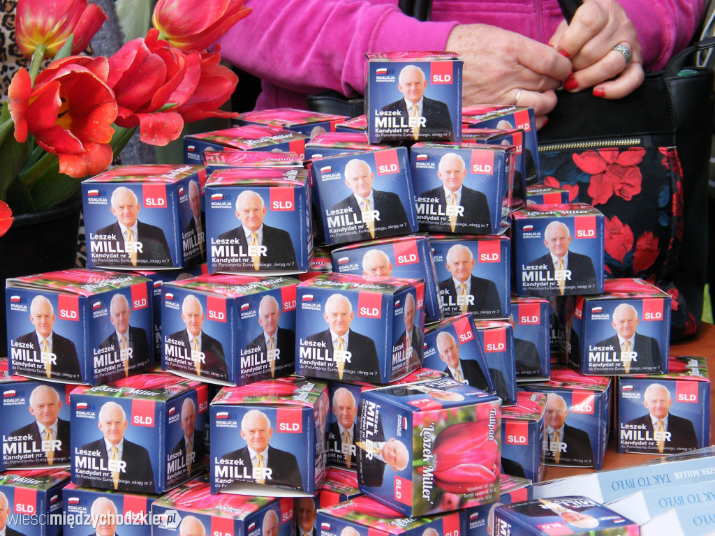 XI Międzynarodowe Targi Tulipanów