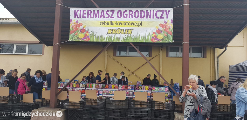 XI Międzynarodowe Targi Tulipanów
