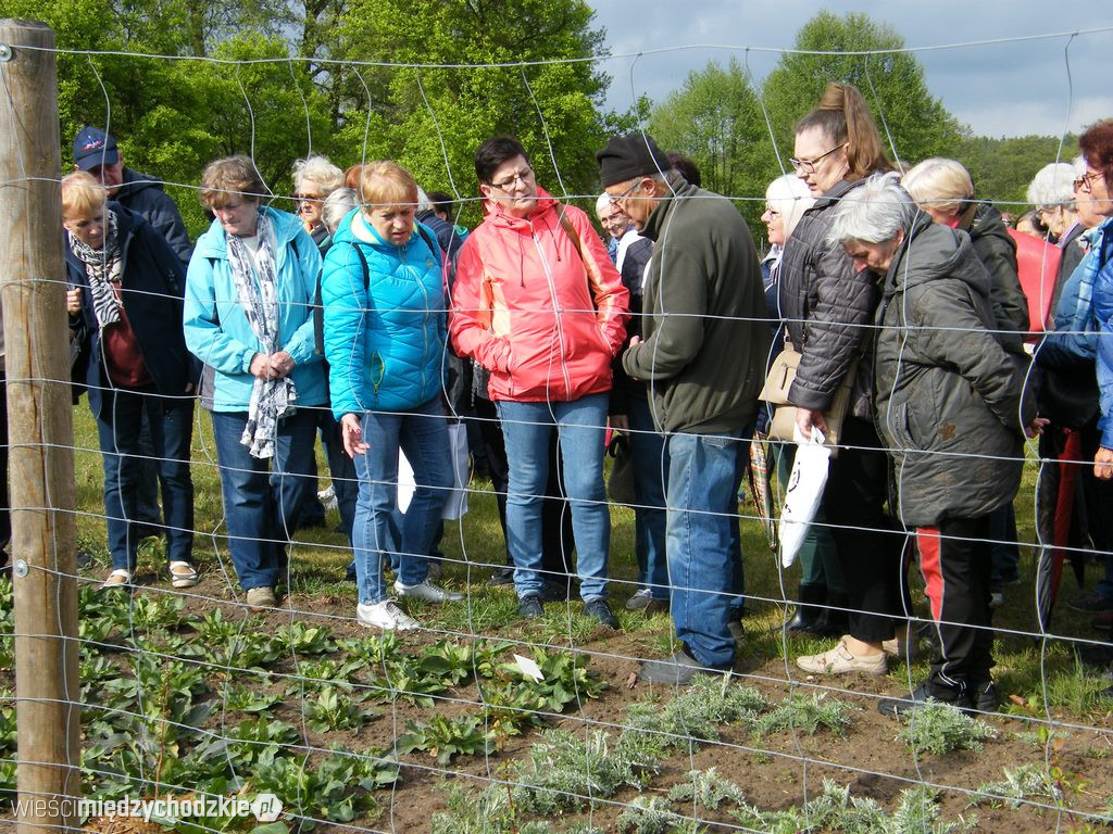 Wykład terenowy UTW Międzychód