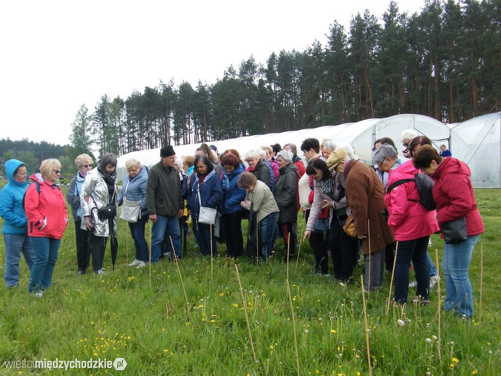 Wykład terenowy UTW Międzychód