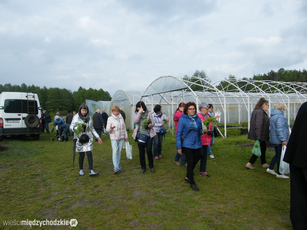Wykład terenowy UTW Międzychód