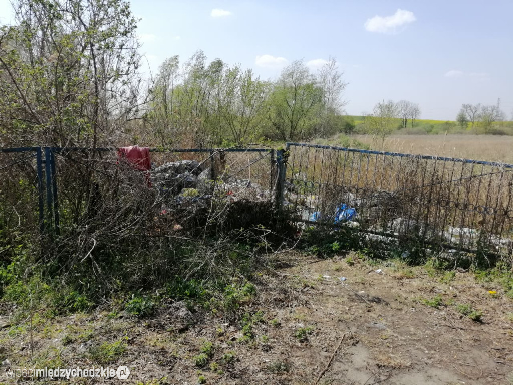 Śmiecimy na potęgę a potem narzekamy