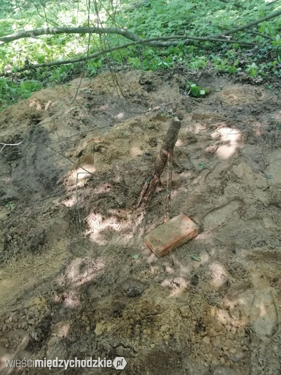 Prace archeologiczne w rejonie Kolna