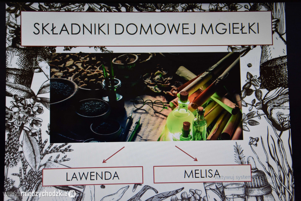 Letnia kuracja ziołami