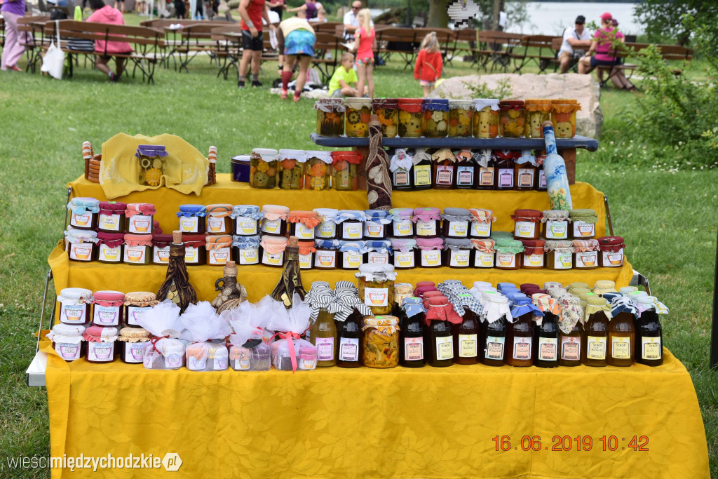 Rodzinny piknik sportowy w Olandii