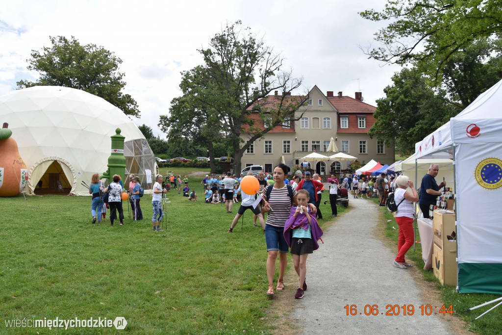Rodzinny piknik sportowy w Olandii