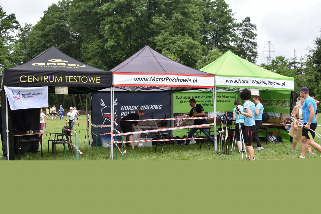 Rodzinny piknik sportowy w Olandii