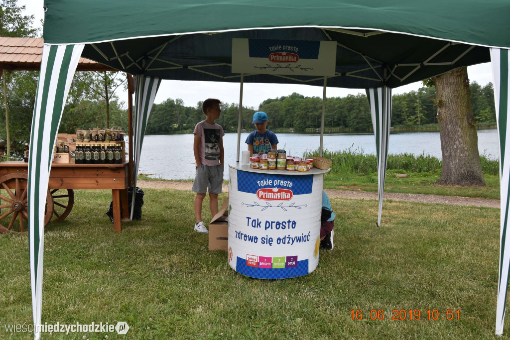 Rodzinny piknik sportowy w Olandii