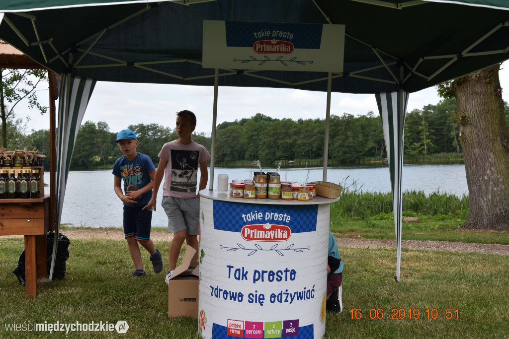 Rodzinny piknik sportowy w Olandii